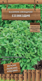 Базилик Созвездие овощной (сер.Декоративный огород) (А) (ЦВ) 0,1гр