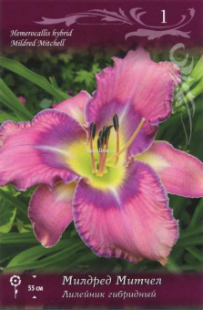 Изображение загружено обработкой по данным файла Excel