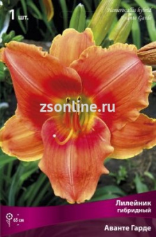 Изображение загружено обработкой по данным файла Excel