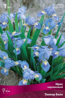 Изображение загружено обработкой по данным файла Excel