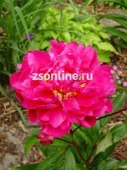 Изображение загружено обработкой по данным файла Excel