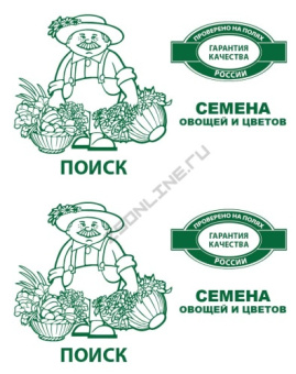 Салат Лолла Росса