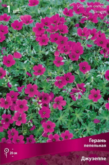 Изображение загружено обработкой по данным файла Excel