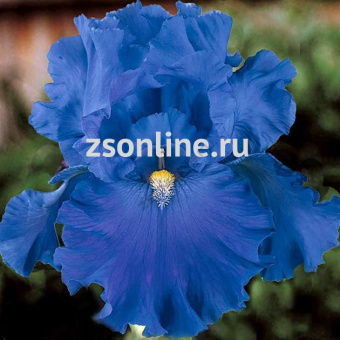 Изображение загружено обработкой по данным файла Excel