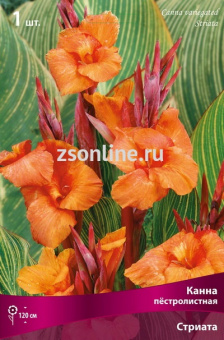 Изображение загружено обработкой по данным файла Excel