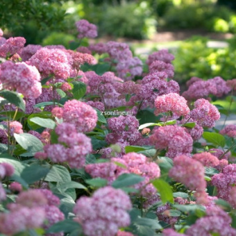 Изображение загружено обработкой по данным файла Excel