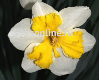 Изображение загружено обработкой по данным файла Excel