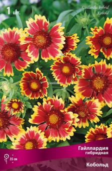 Изображение загружено обработкой по данным файла Excel