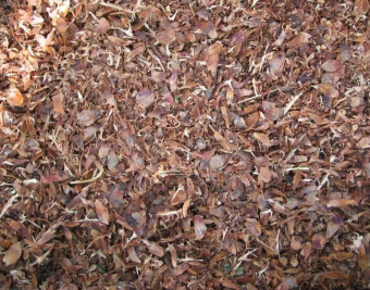 Снимок экрана (11)