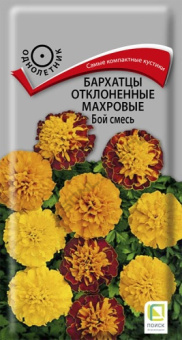 barhatsy_otklon_mahrov_boy_smes