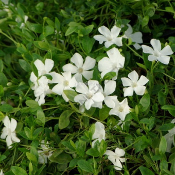 Изображение загружено обработкой по данным файла Excel