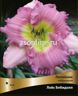 Изображение загружено обработкой по данным файла Excel