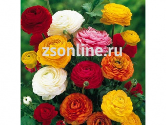 Изображение загружено обработкой по данным файла Excel