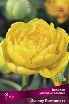Тюльпан махровый поздний Йеллоу Помпонетт 11-12/К 10шт