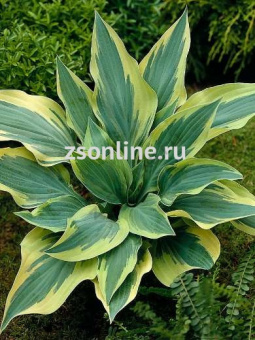 Изображение загружено обработкой по данным файла Excel