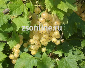 Изображение загружено обработкой по данным файла Excel