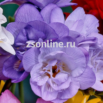 Изображение загружено обработкой по данным файла Excel