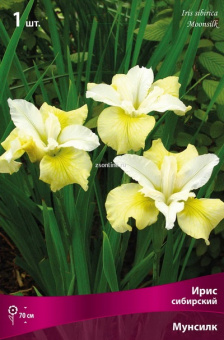 Изображение загружено обработкой по данным файла Excel