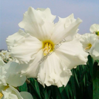 b30abde46065d7cf49c853635b6b4140