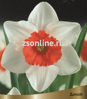 Изображение загружено обработкой по данным файла Excel