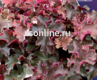 Изображение загружено обработкой по данным файла Excel