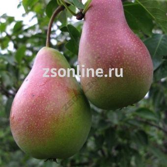 Изображение загружено обработкой по данным файла Excel