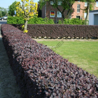 Изображение загружено обработкой по данным файла Excel