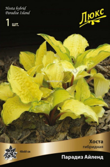 Изображение загружено обработкой по данным файла Excel