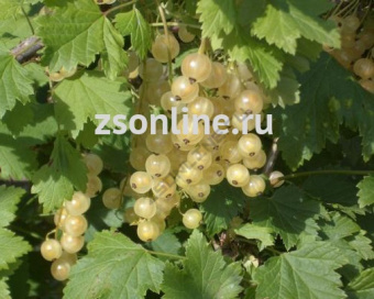 Изображение загружено обработкой по данным файла Excel