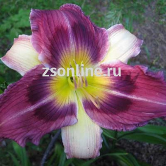 Изображение загружено обработкой по данным файла Excel