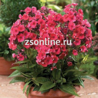 Изображение загружено обработкой по данным файла Excel