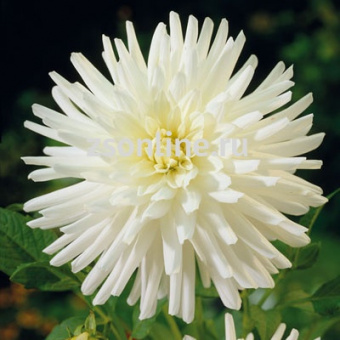 Изображение загружено обработкой по данным файла Excel