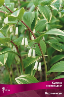 Изображение загружено обработкой по данным файла Excel