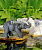 Декоративная фигурка-разбрызгиватель Слон 
