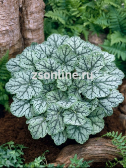 Изображение загружено обработкой по данным файла Excel