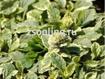 Изображение загружено обработкой по данным файла Excel