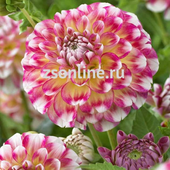 Изображение загружено обработкой по данным файла Excel