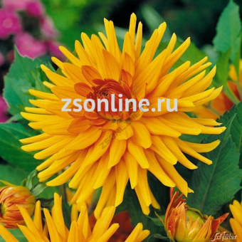 Изображение загружено обработкой по данным файла Excel