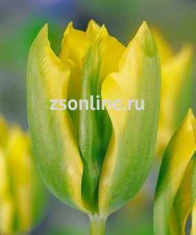 Изображение загружено обработкой по данным файла Excel