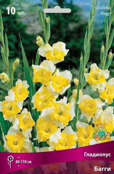 Гладиолус Багги 10шт