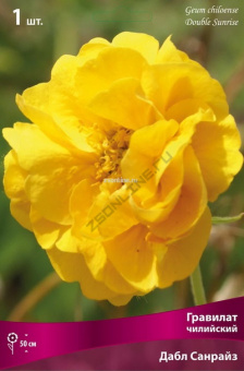 Изображение загружено обработкой по данным файла Excel