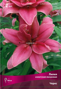 Изображение загружено обработкой по данным файла Excel