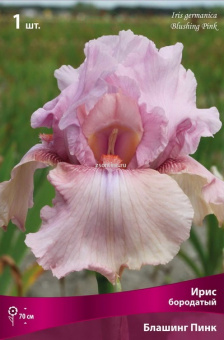 Изображение загружено обработкой по данным файла Excel