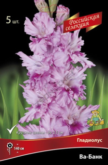 Гладиолус Ва-Банк 10-12/К 5шт