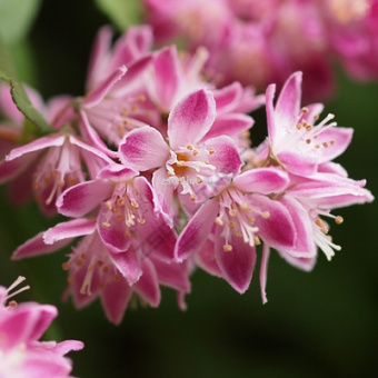 Изображение загружено обработкой по данным файла Excel