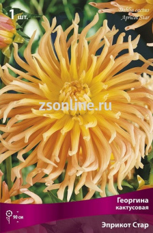 Изображение загружено обработкой по данным файла Excel