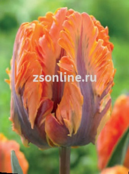 Изображение загружено обработкой по данным файла Excel