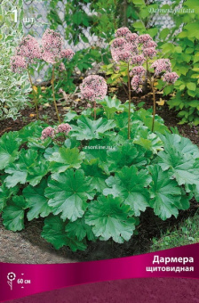 Изображение загружено обработкой по данным файла Excel