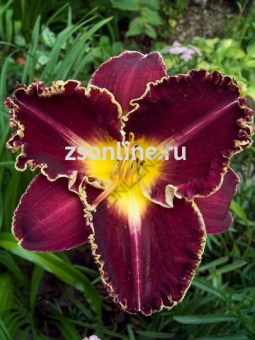 Изображение загружено обработкой по данным файла Excel