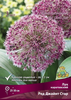 Лук каратавский Ред Джайнт Стар 10-12/К 3шт